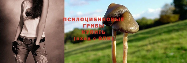 apvp Балахна