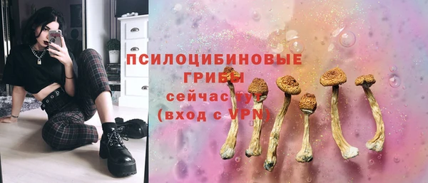 мдпв Арсеньев
